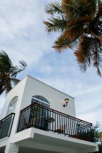 cajueiro da praia