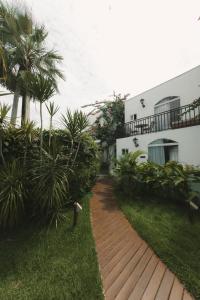 cajueiro da praia