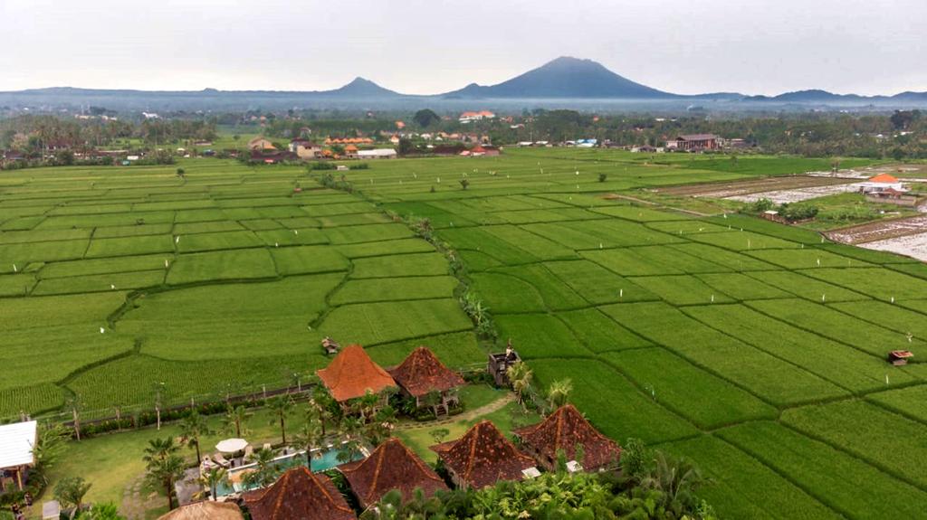 ubud