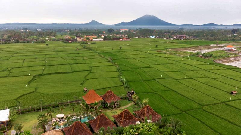 Aswanaya Villas Ubud,Gianyar>>Bali,3.5 star