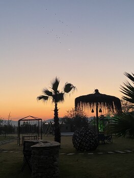 albizia boutique hotel