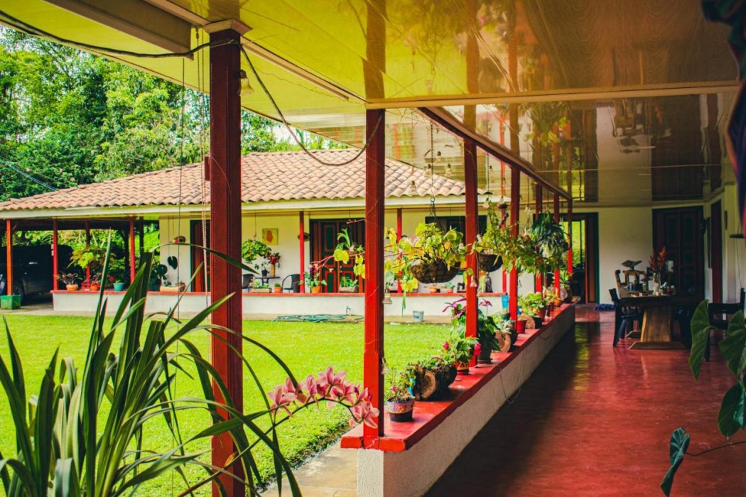 pereira