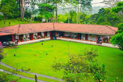 pereira