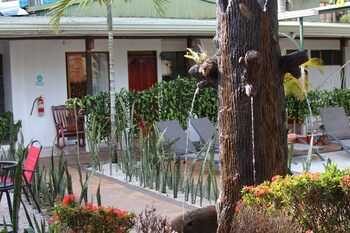 la fortuna