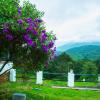 Vythiri Silver Mist By VOYE HOMES - Hill Top Private Villa In Wayanad