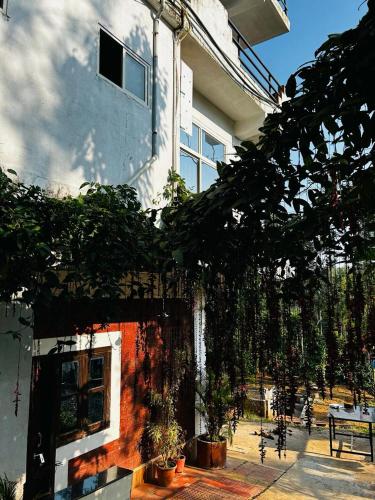 coorg sana riverside