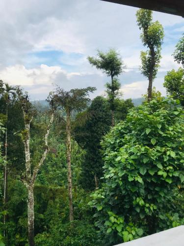 Coorg Sana Riverside,Madikeri>>Kodagu,0 star