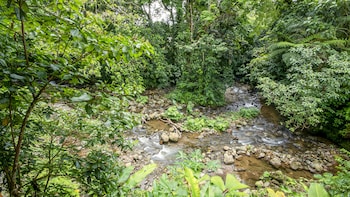 penas blancas