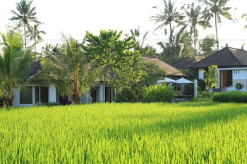 ubud