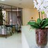 harbor self buriti suites hotel