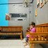 penginapan ku