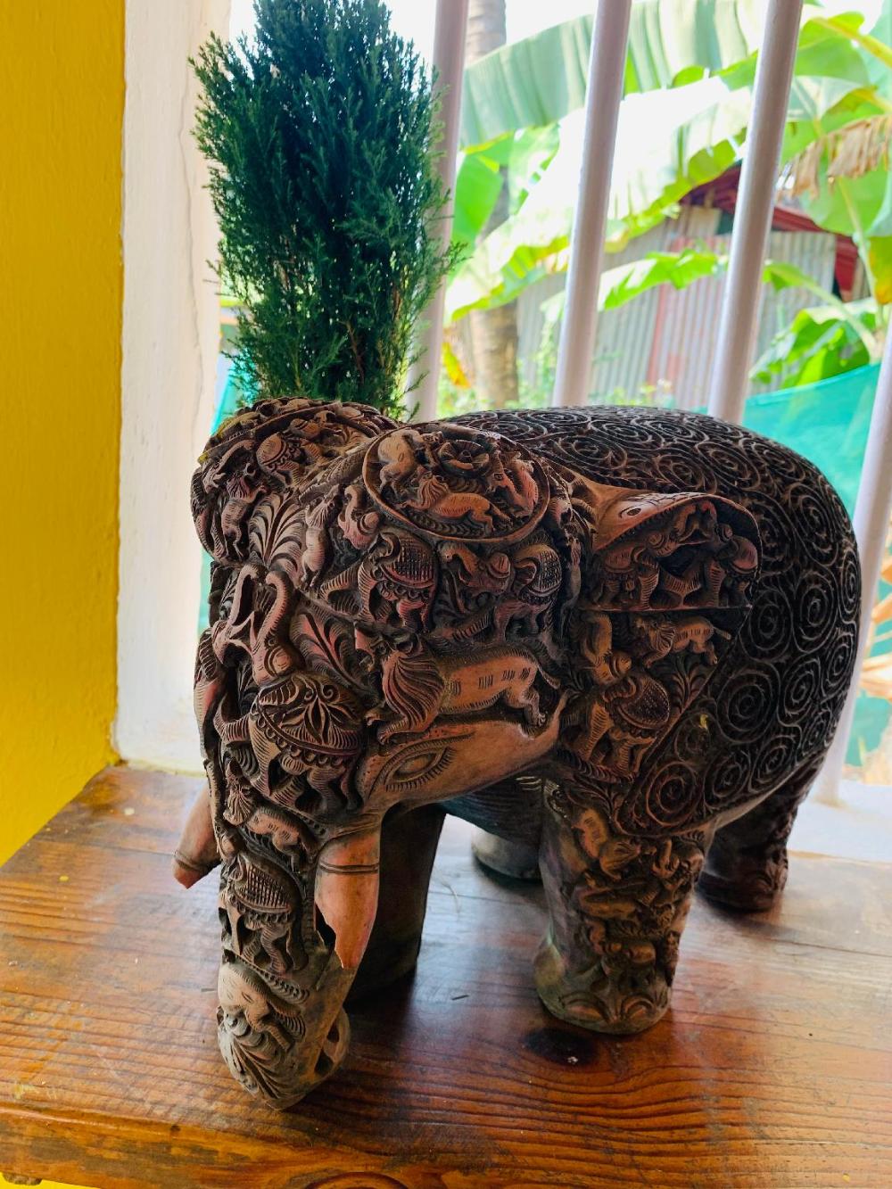 mamata courtyard anjuna