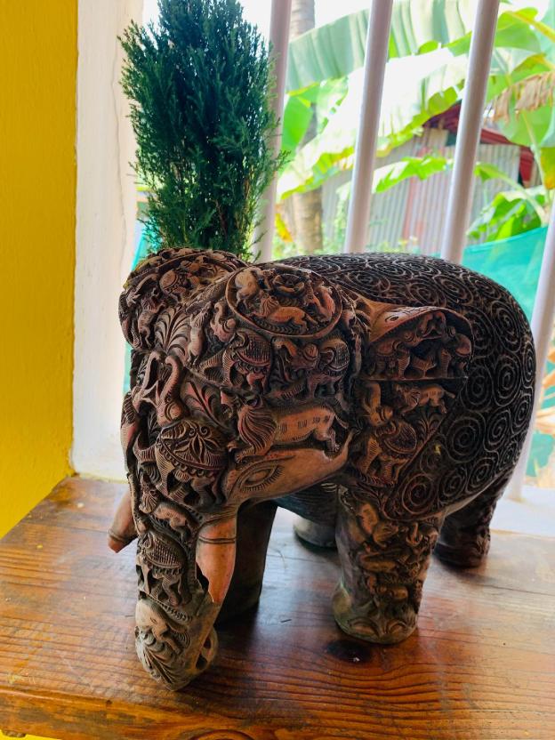 mamata courtyard anjuna