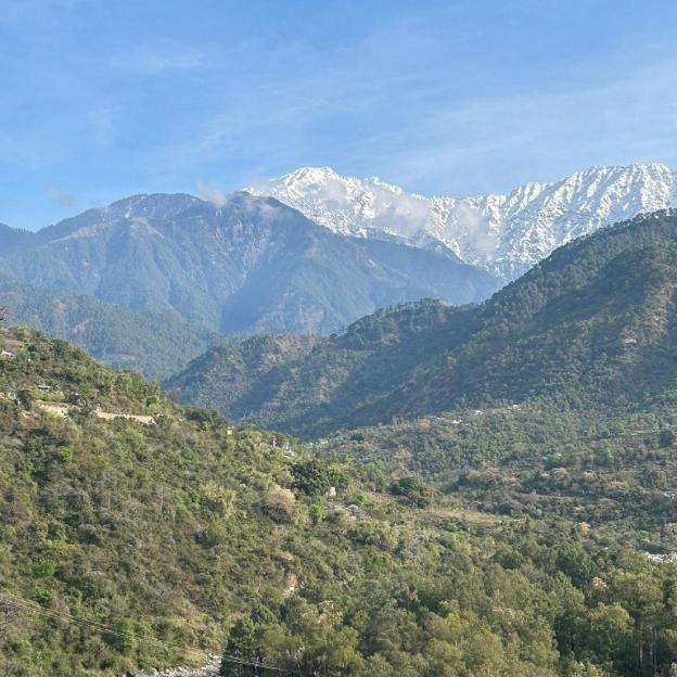 dhauladhar view village resort