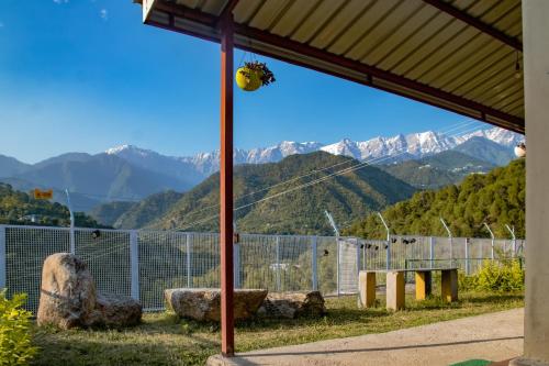 dhauladhar view village resort