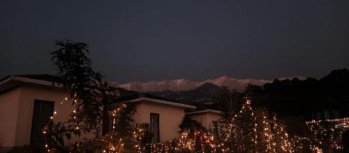 dhauladhar view village resort
