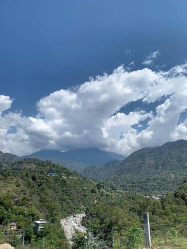 dhauladhar view village resort