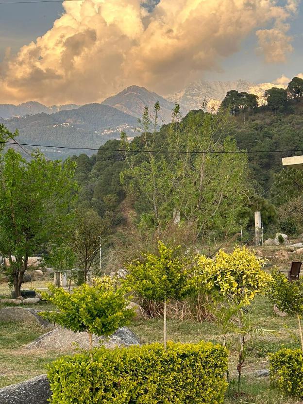 dhauladhar view village resort