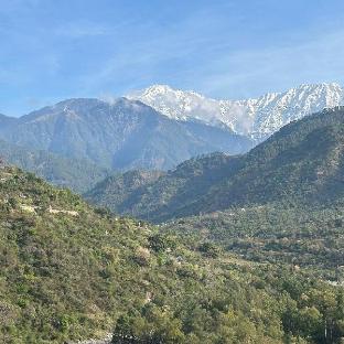 dhauladhar view village resort