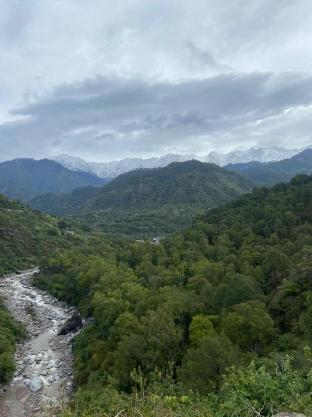 dhauladhar view village resort