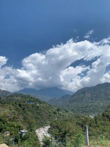 dhauladhar view village resort
