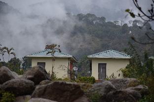 dhauladhar view village resort