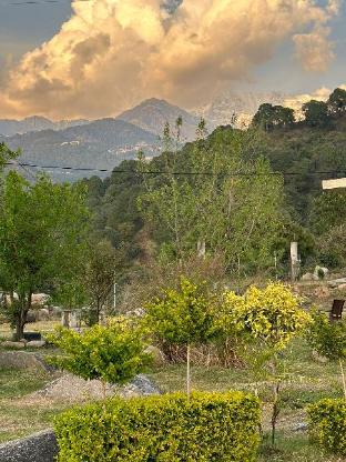 dhauladhar view village resort