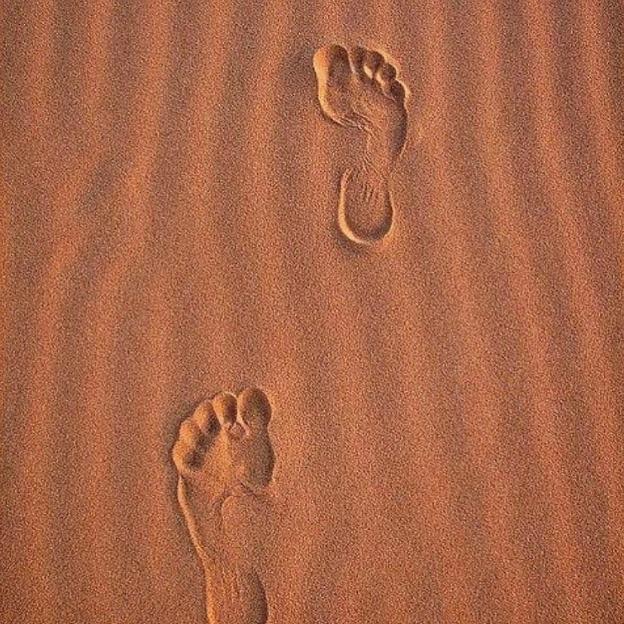 explore jaisalmer desert camp