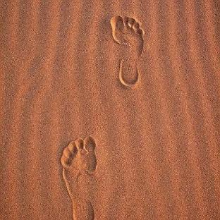 explore jaisalmer desert camp