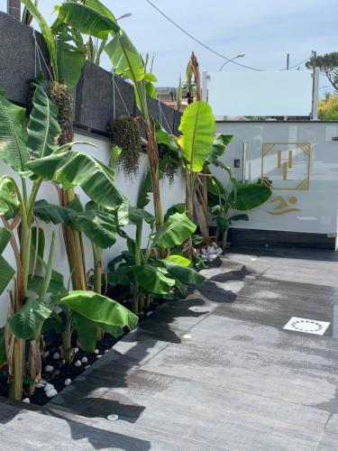 giugliano in campania