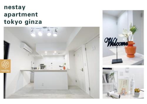 nestay apartment tokyo ginza