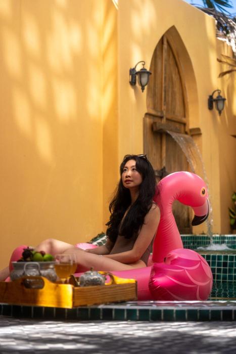 alsahar hoi an boutique villa apartment