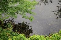 hakone retreat fore adults only