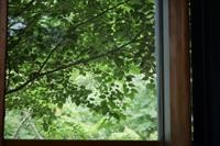 hakone retreat fore adults only