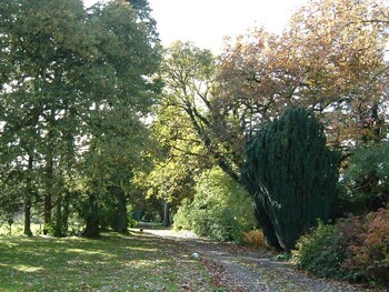 ballymena