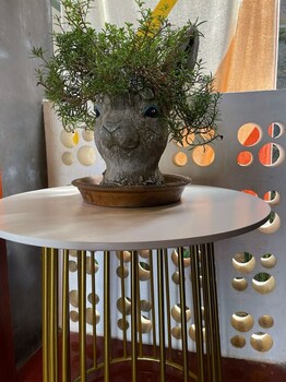 peaceful homestay and camping at khaokho