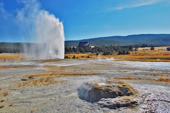 yellowstone national park