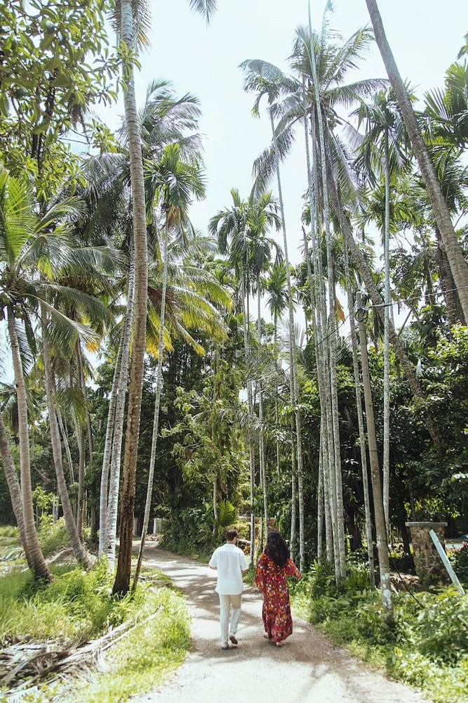 sekar pinang langkawi