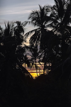 sekar pinang langkawi