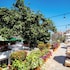 puerto vallarta