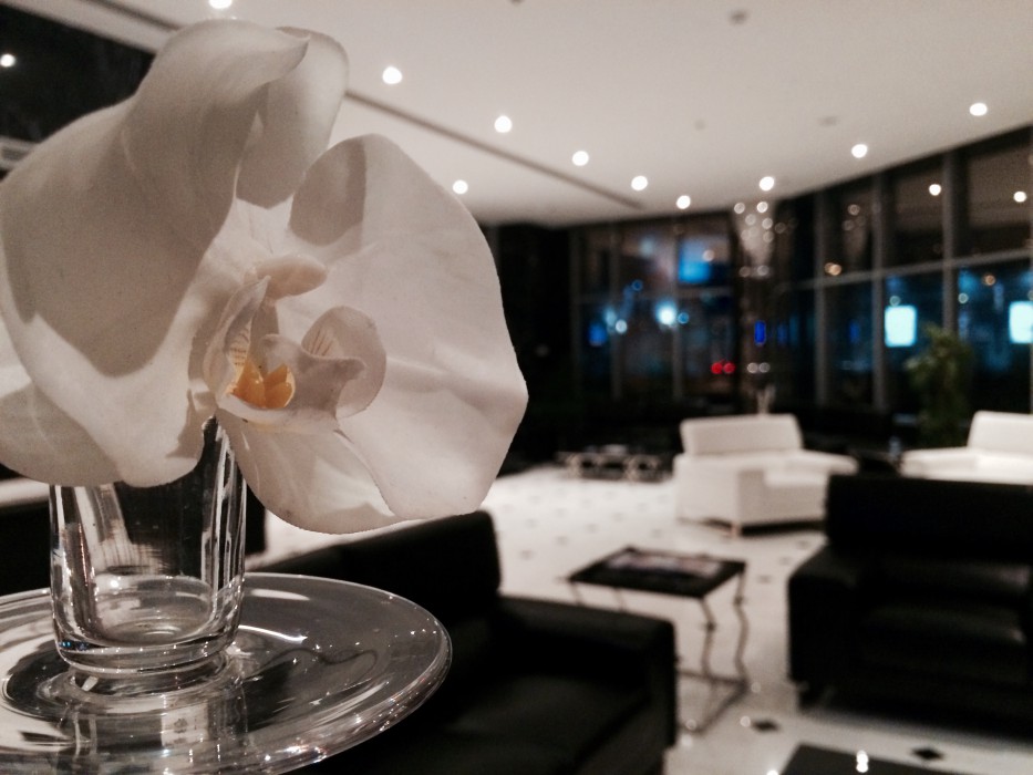 tulip hotel and suites