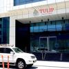 tulip hotel and suites