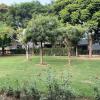 homestays ludhiana