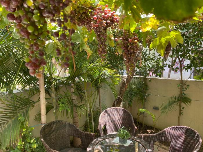 homestays ludhiana