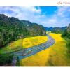 nam nhung tam coc homestay