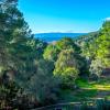 forest resort suites skiathos
