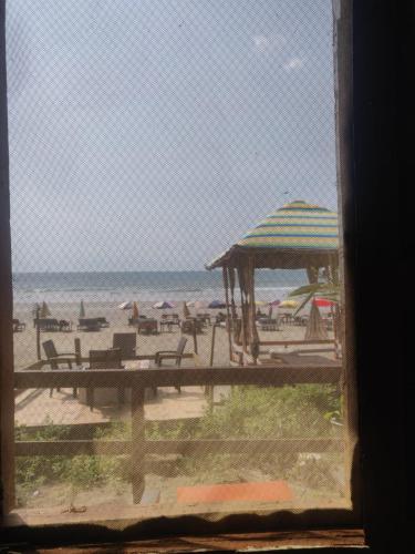 Sydney X Cafe & Beach Huts,Goa>>Arambol,0 star
