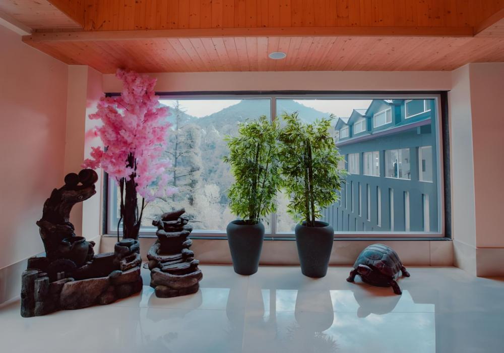 hotel nature valley
