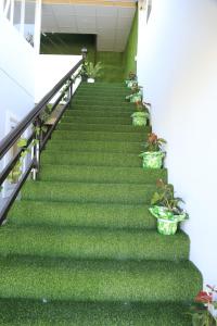 da lat ngoi sao viet hotel