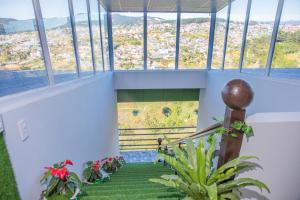 da lat ngoi sao viet hotel